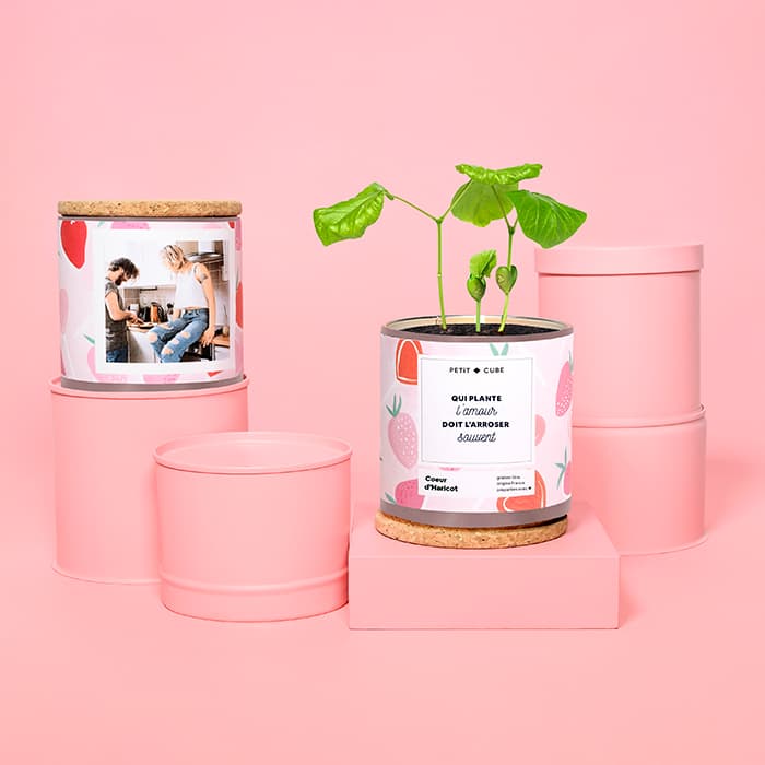 Idée cadeau plantes pour couple