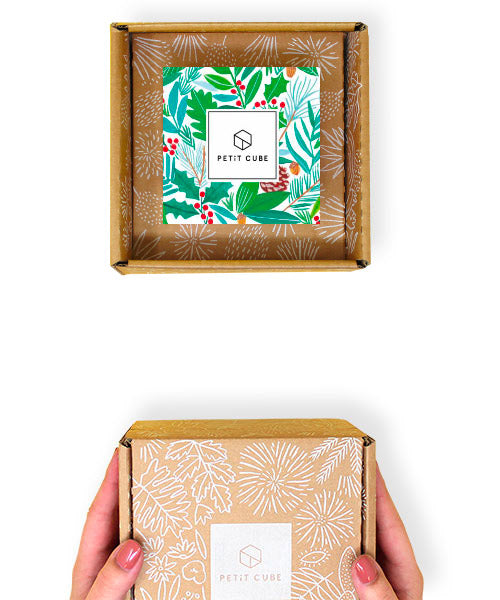 Idée cadeau Secret Santa colis