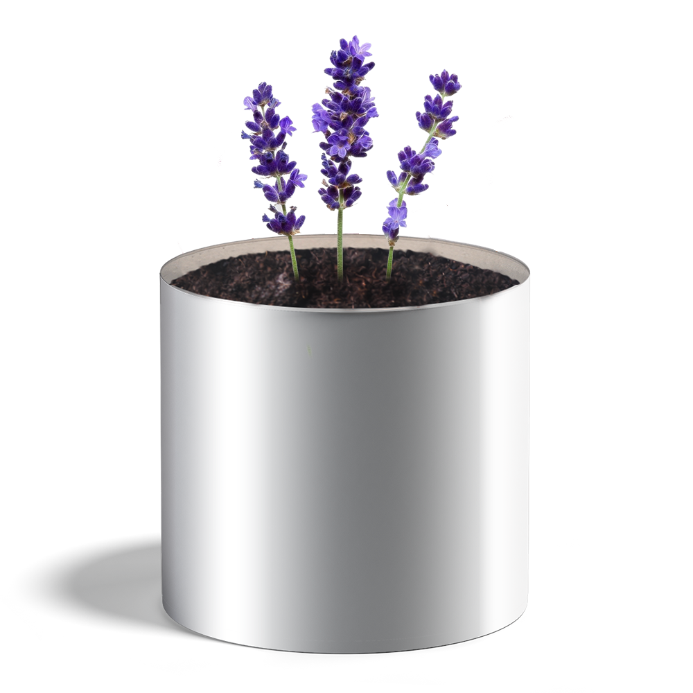 Plante personnalisée