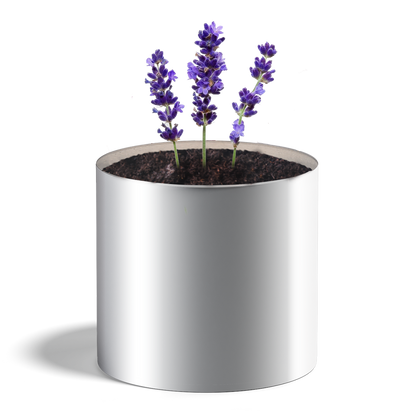 Plante personnalisée