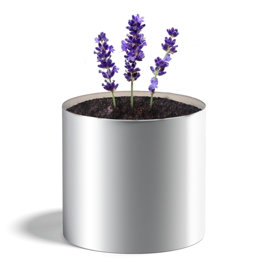 Plante personnalisée