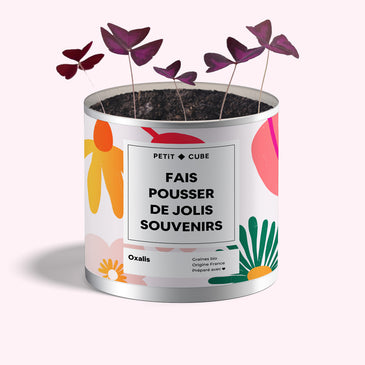 Pot de plantes personnalisé - texte et photo