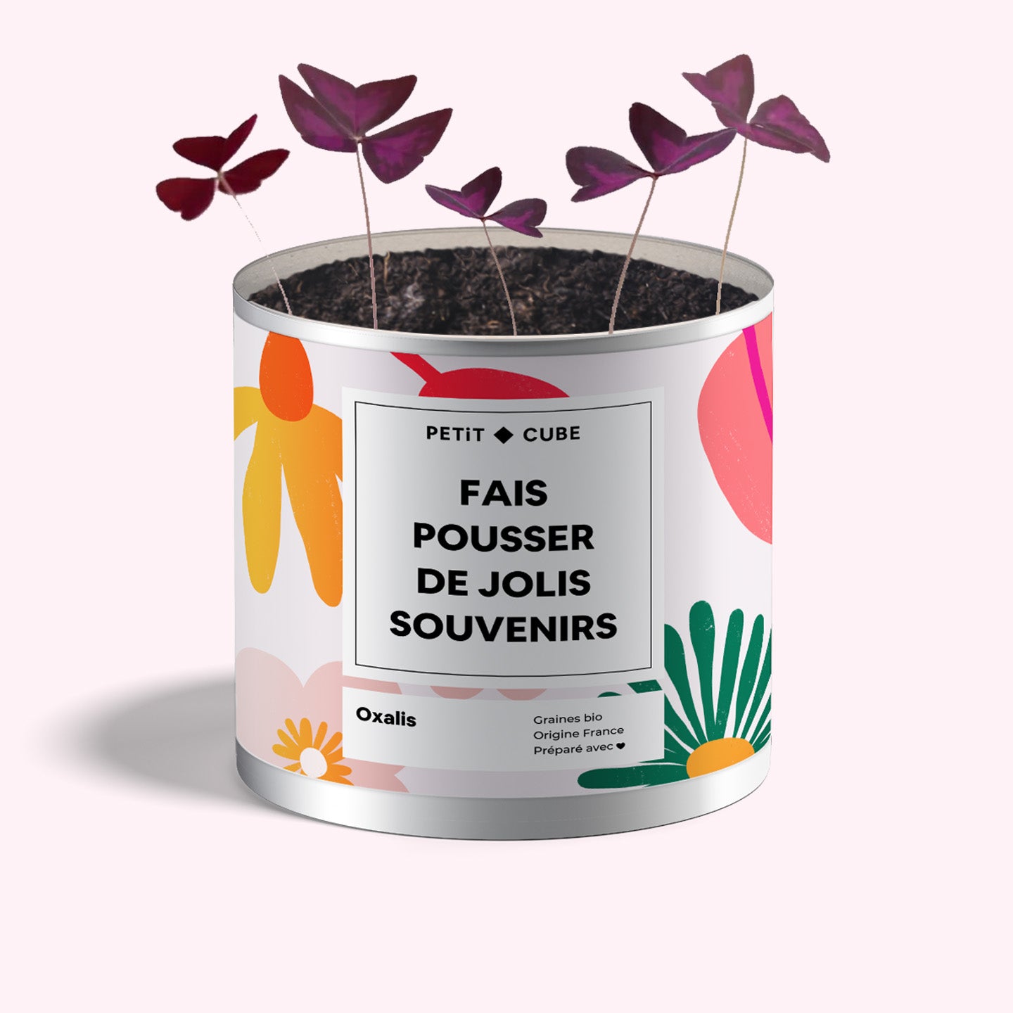 Pot personnalisé plantes