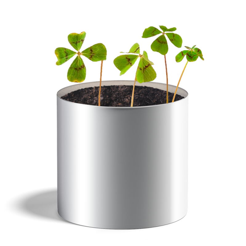 Plante personnalisée