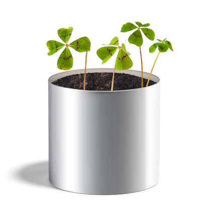 Plante personnalisée
